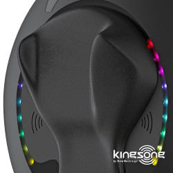 Monociclo Eléctrico Kingsong KS-16S (840 Wh) l Kingsong France