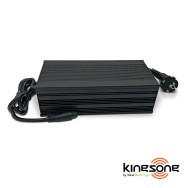 100 V Ladegerät für Kingsong KS-S19 Einrad